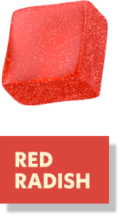 RED RADISH