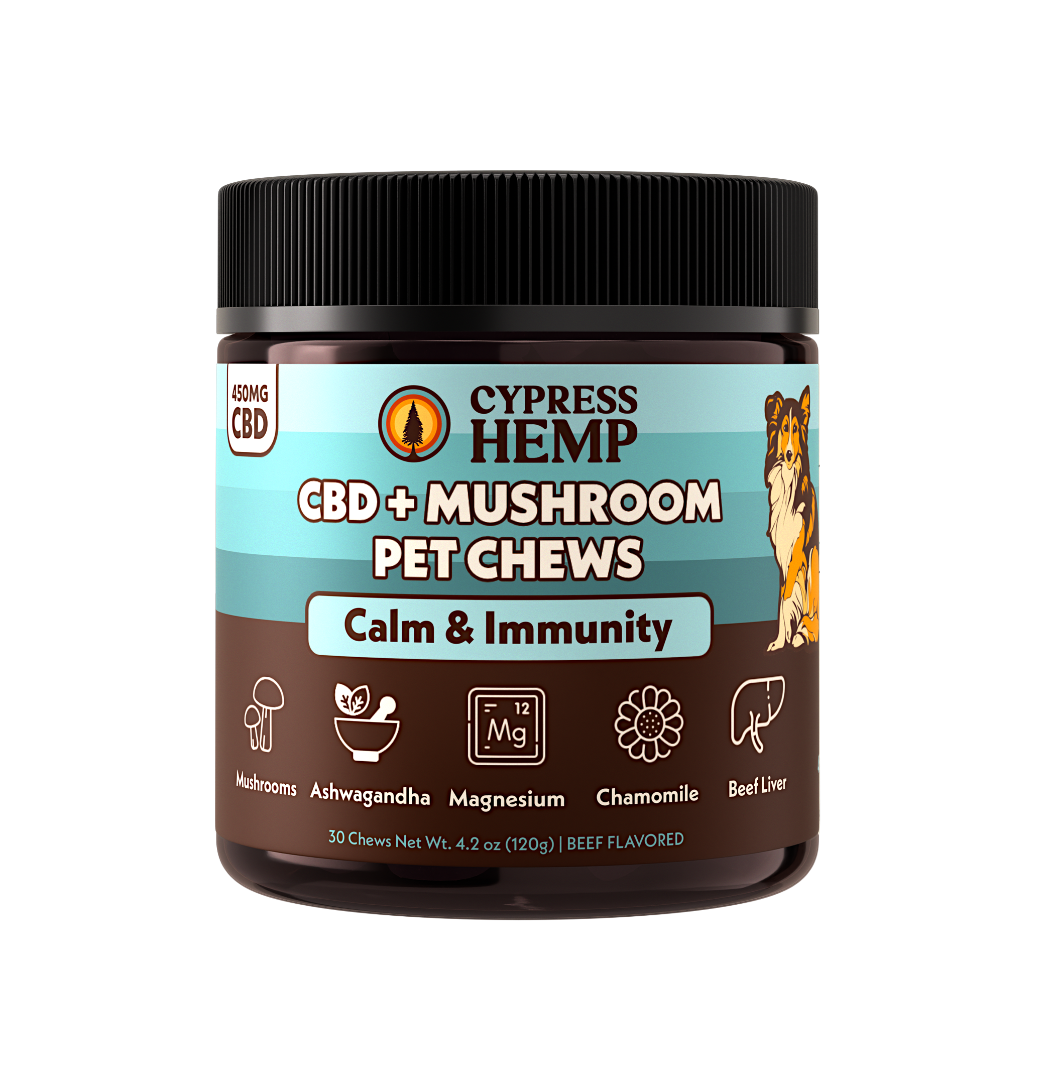 CBD + Mushroom Pet Chews (Calm & Immunity)