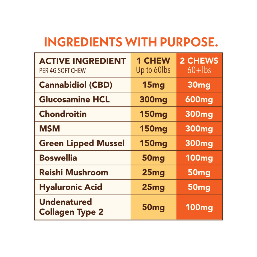 CBD + Mushroom Pet Chews (Hip, Joint, & Skin)