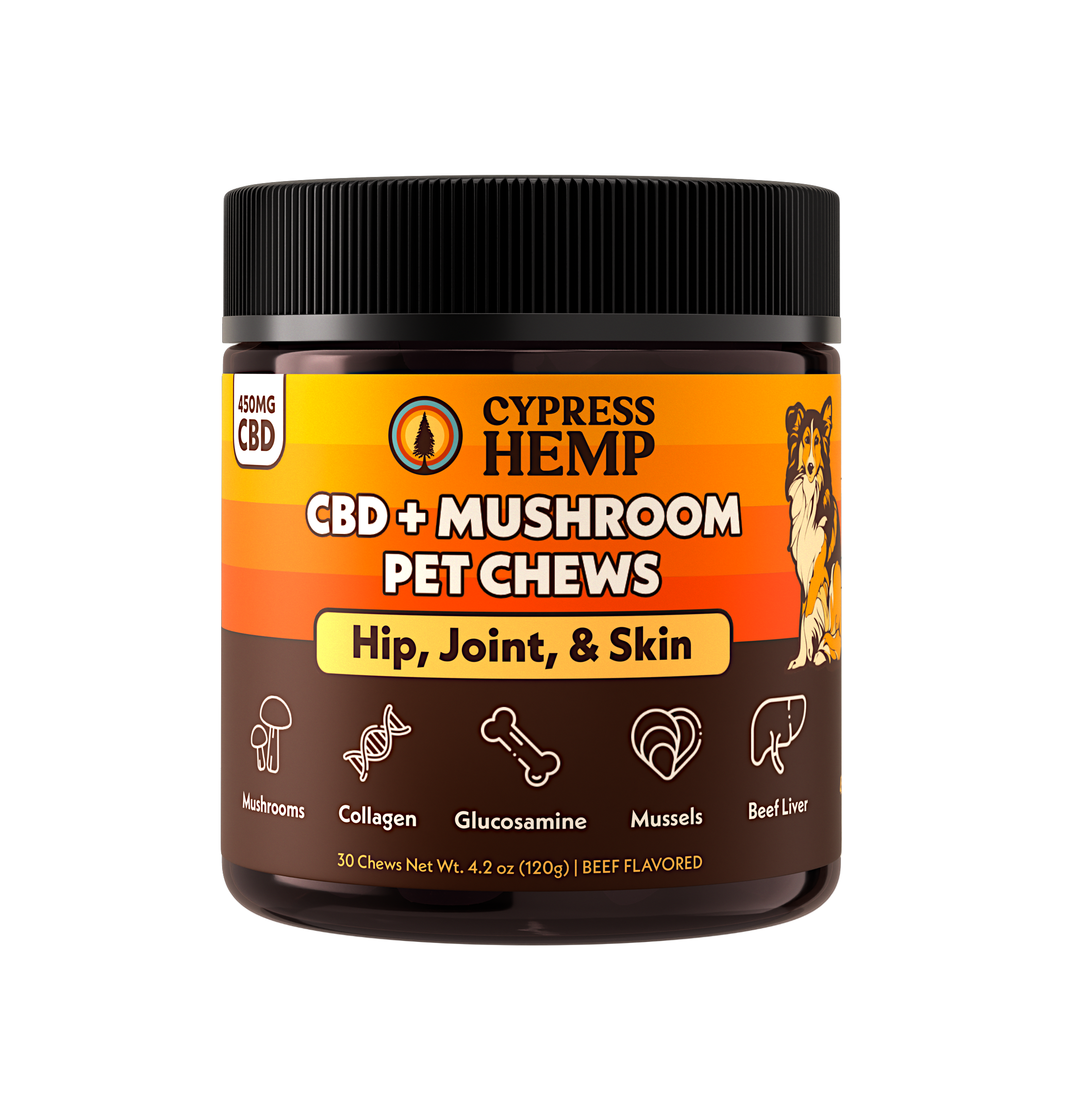 CBD + Mushroom Pet Chews (Hip, Joint, & Skin)