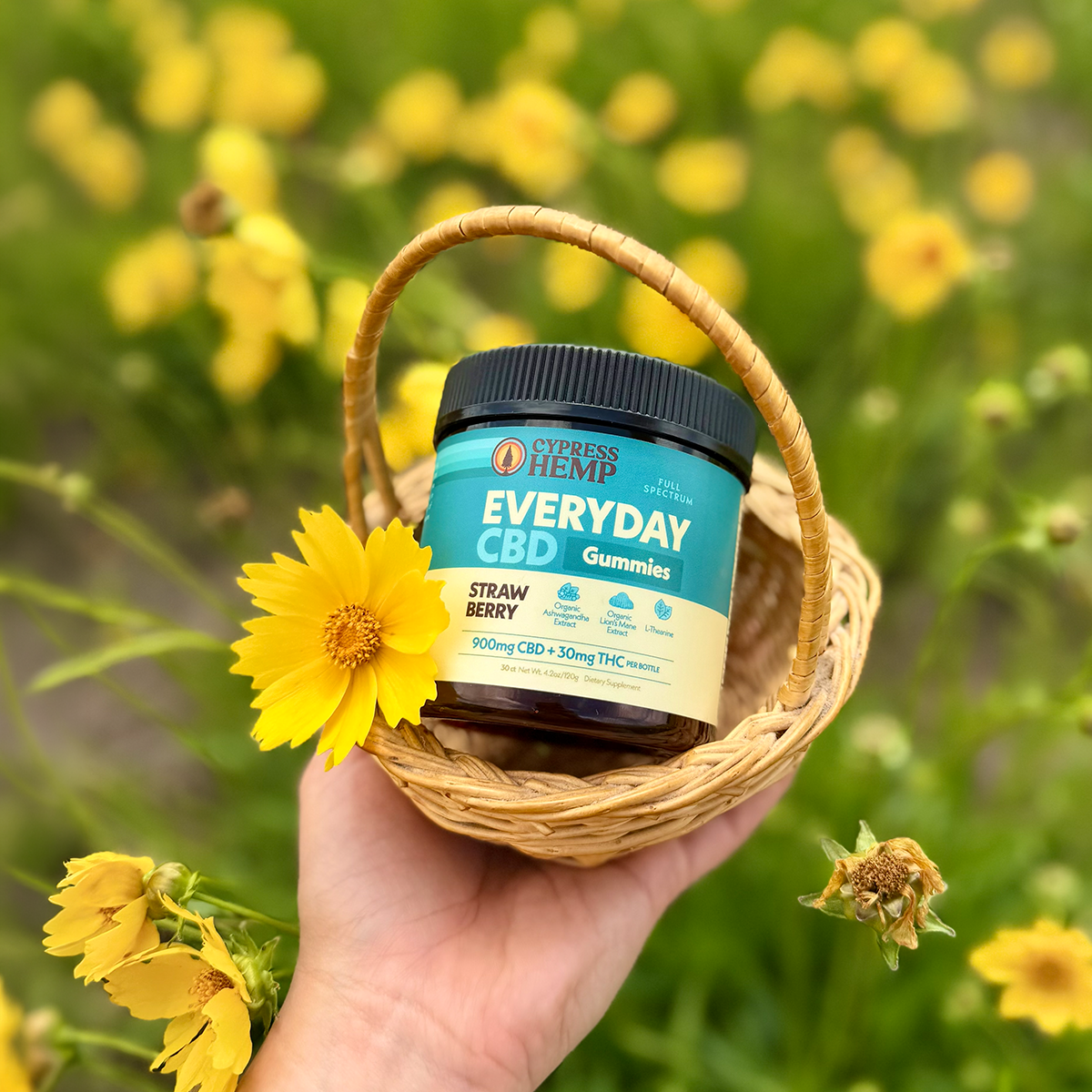 Broad Spectrum CBD