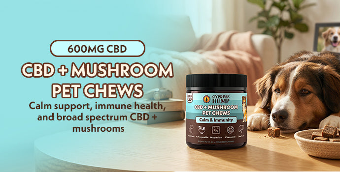 CBD + Mushroom Pet Chews (Calm & Immunity)