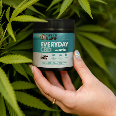 CBD Gummies - Everyday