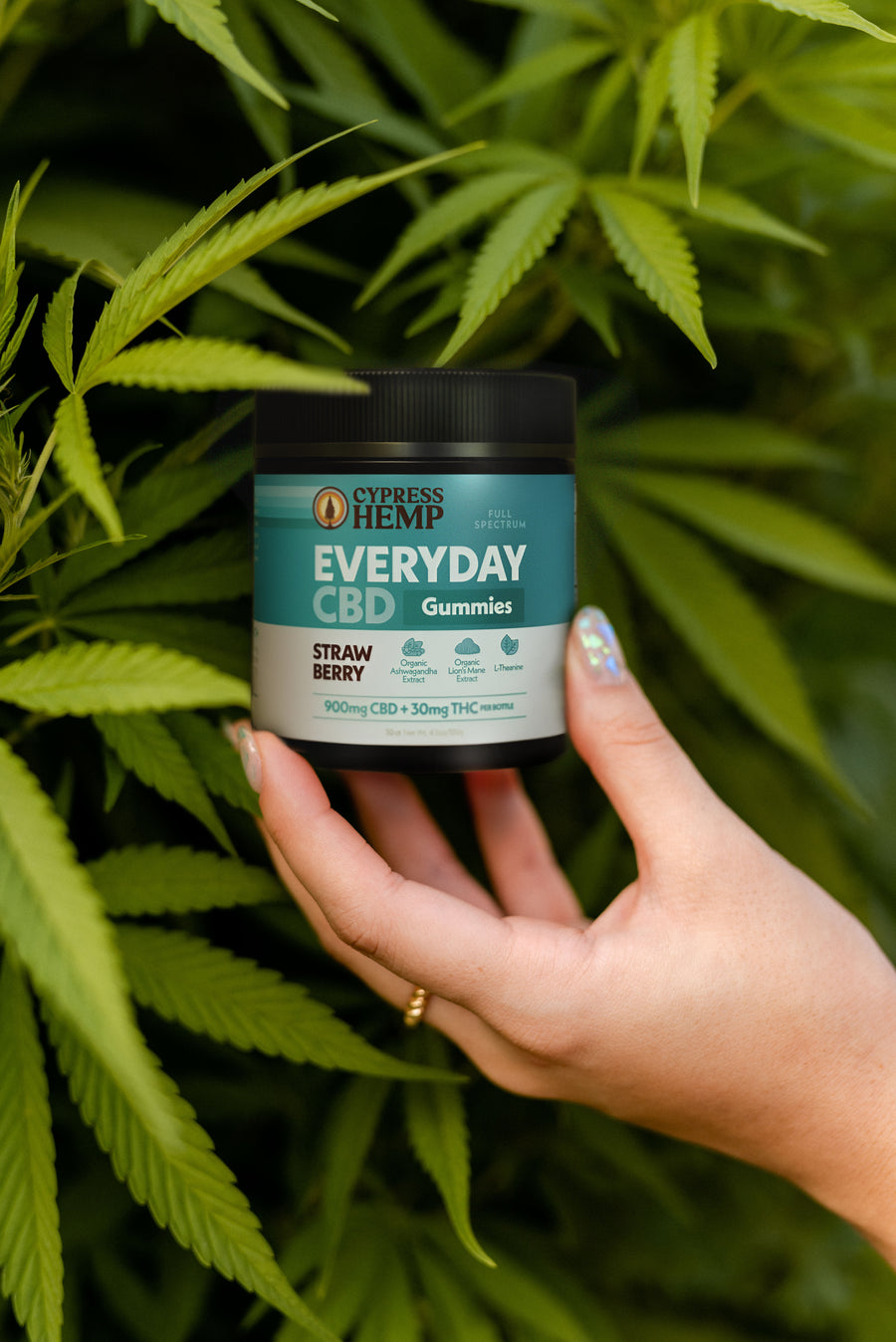 CBD Gummies - Everyday