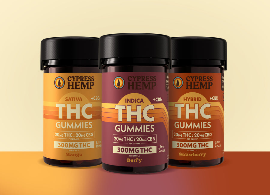 Classics  Connoisseur Bundle