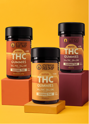 Classics  Connoisseur Bundle
