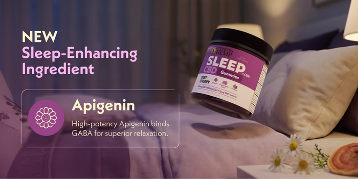 CBD Gummies - Sleep + CBN