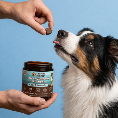 CBD + Mushroom Pet Chews (Calm & Immunity)