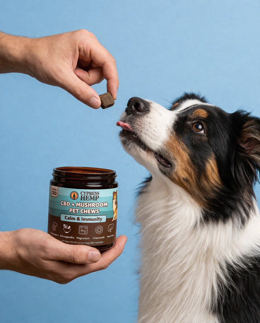 CBD + Mushroom Pet Chews (Calm & Immunity)