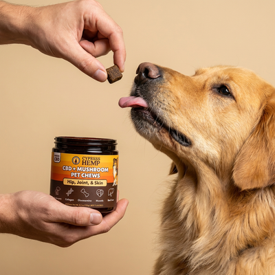 CBD + Mushroom Pet Chews (Hip, Joint, & Skin)