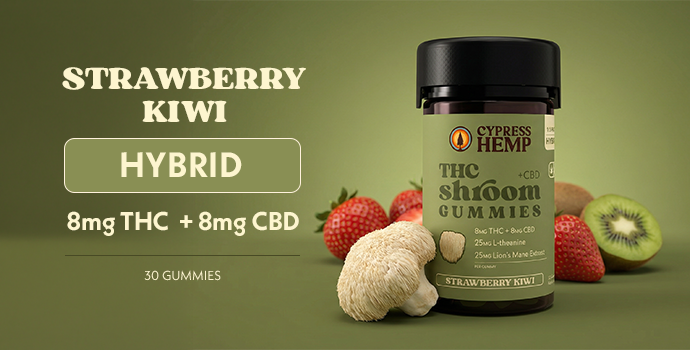 THC Shroom Gummies