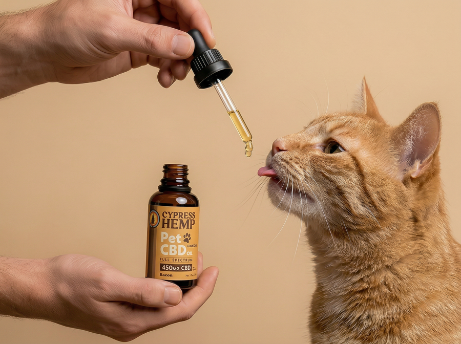 CBD Pet Oil