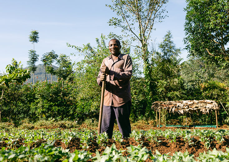 A farmer standing in a restored field
